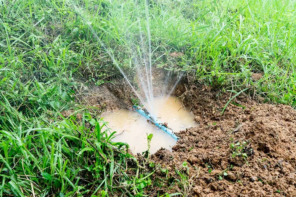 Irrigation-Installation-and-Repair-in-Las-Vegas-1 Irrigation Installation & Repair Las Vegas | Sun Valley Landscaping