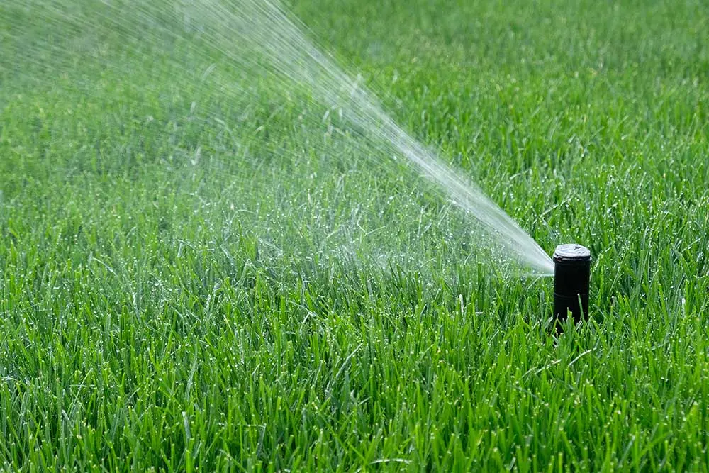 A sprinkler system waters a lush, green lawn, showcasing efficient irrigation for low maintenance landscaping in Las Vegas.| Sun Valley Landscape Las Vegas