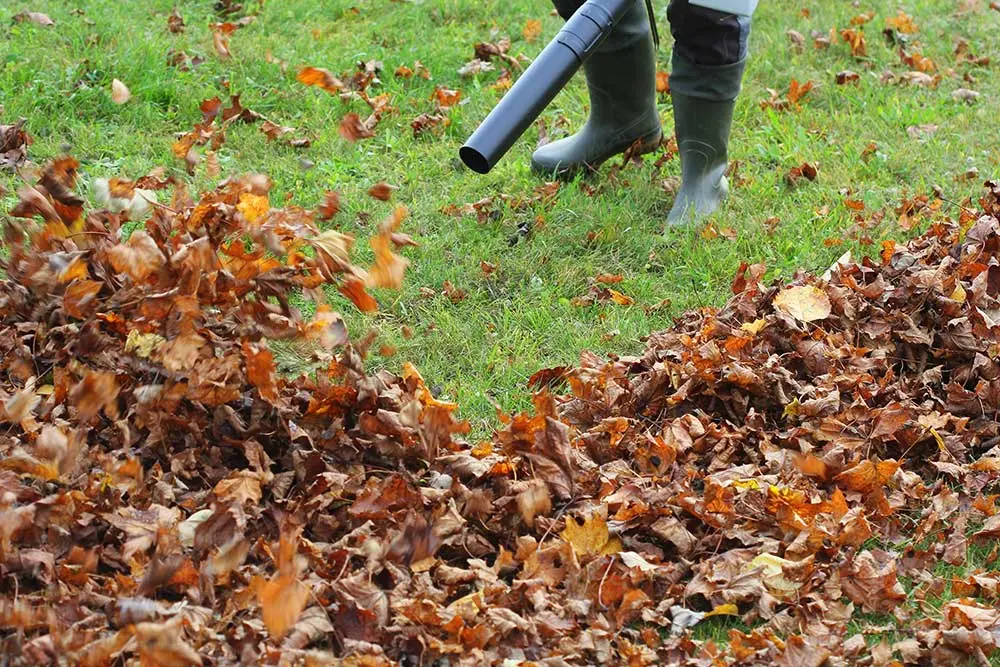 seasonal-yard-cleanup-3 Seasonal Yard Cleanup Las Vegas | Sun Valley Landscaping