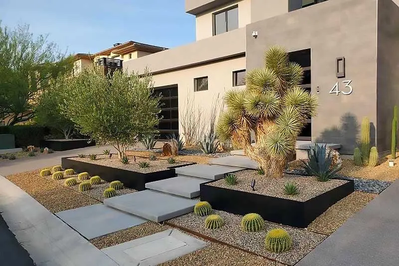 Summer Plant Care Tips for Las Vegas | Sun Valley Landscaping
