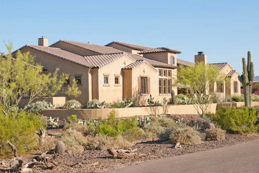 Summer Plant Care Tips for Las Vegas | Sun Valley Landscaping
