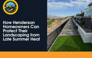 Henderson Homeowners Can Protect Their Landscaping from Late Summer Heat
