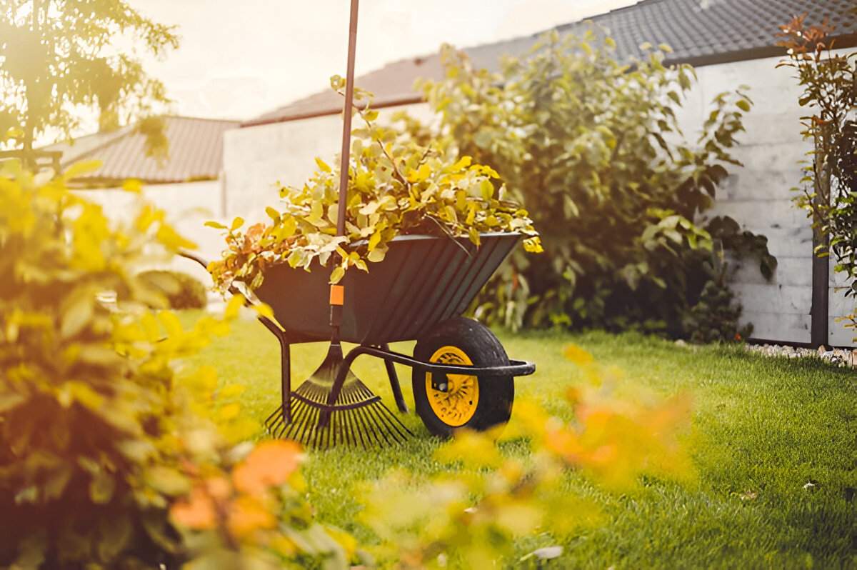 Wheelbarrow filled with yard trimmings and rake on green grass in a Las Vegas backyard maintained by Sun Valley landscaping