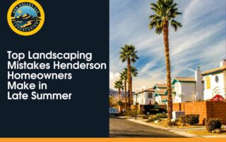 Sun Valley Landscaping logo with a Henderson neighborhood street lined with palm trees and well-maintained homes under a partly cloudy sky in Las Vegas.