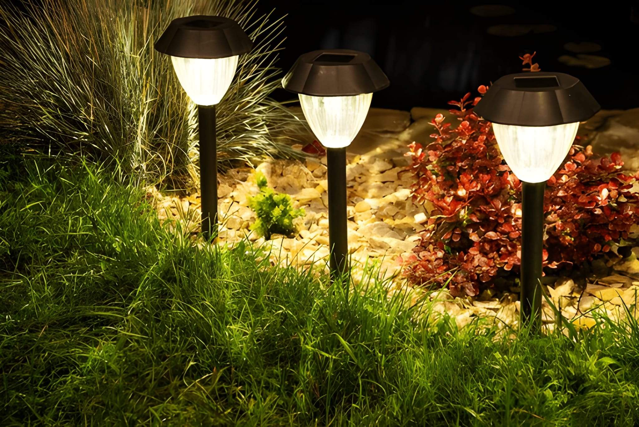 Solar path lights illuminating a garden bed with green grass and red foliage at night.