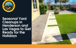 Clean, modern Las Vegas backyard after a seasonal yard cleanup by Sun Valley Landscaping.