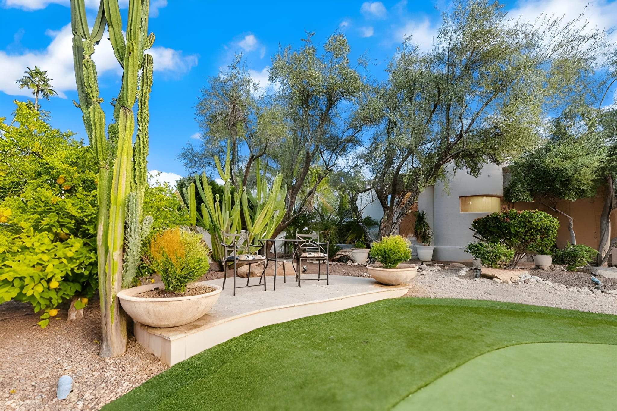 Desert-style backyard in Henderson with cactus and fresh greenery after cleanup.