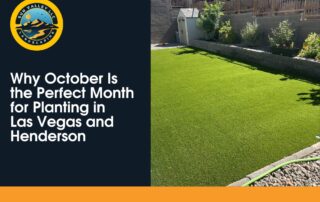 Lush green backyard with artificial turf installed by Sun Valley Landscaping in Las Vegas.