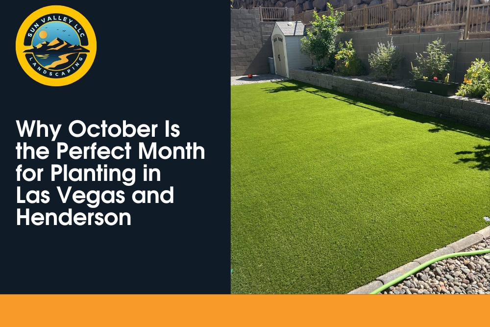 Lush green backyard with artificial turf installed by Sun Valley Landscaping in Las Vegas.