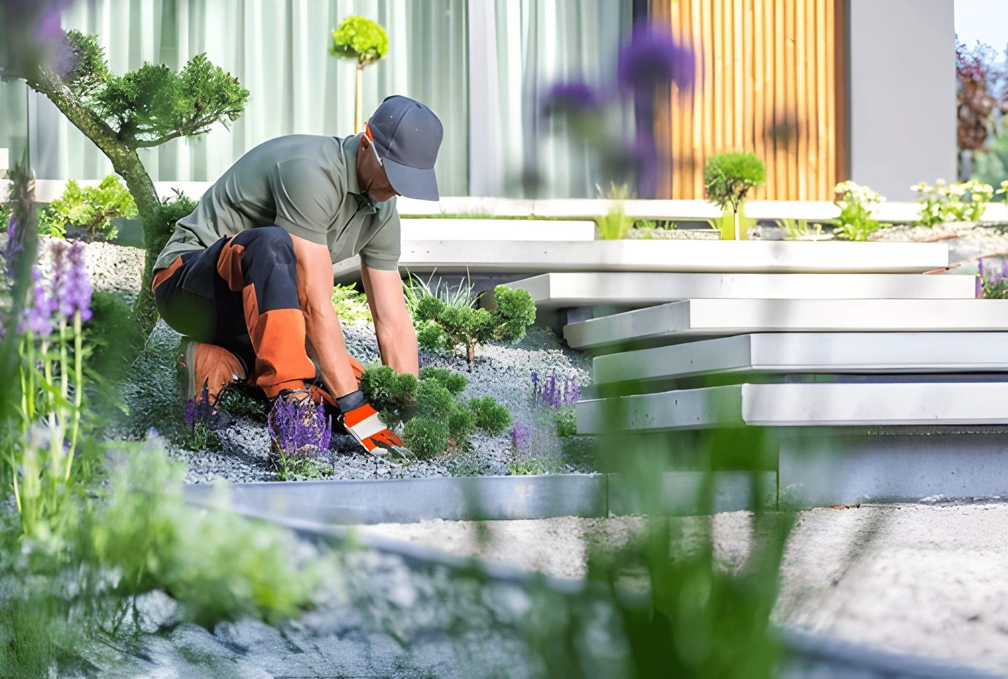 Landscaper planting desert plants in a modern Las Vegas garden during October.