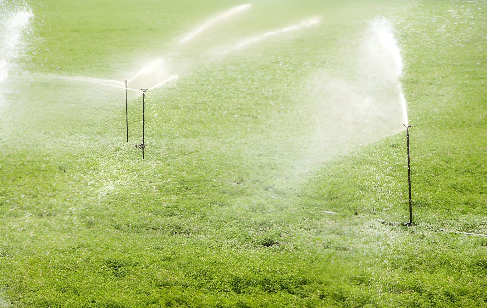 The Importance of Irrigation Repairs Before the Cooler Season in Henderson and Las Vegas4 Lawn sprinklers watering green grass efficiently after irrigation system maintenance in Henderson.