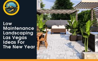 Sun Valley Landscaping showcases a stylish outdoor space featuring low maintenance pavers, furniture, and plants that complement a modern Las Vegas backyard.