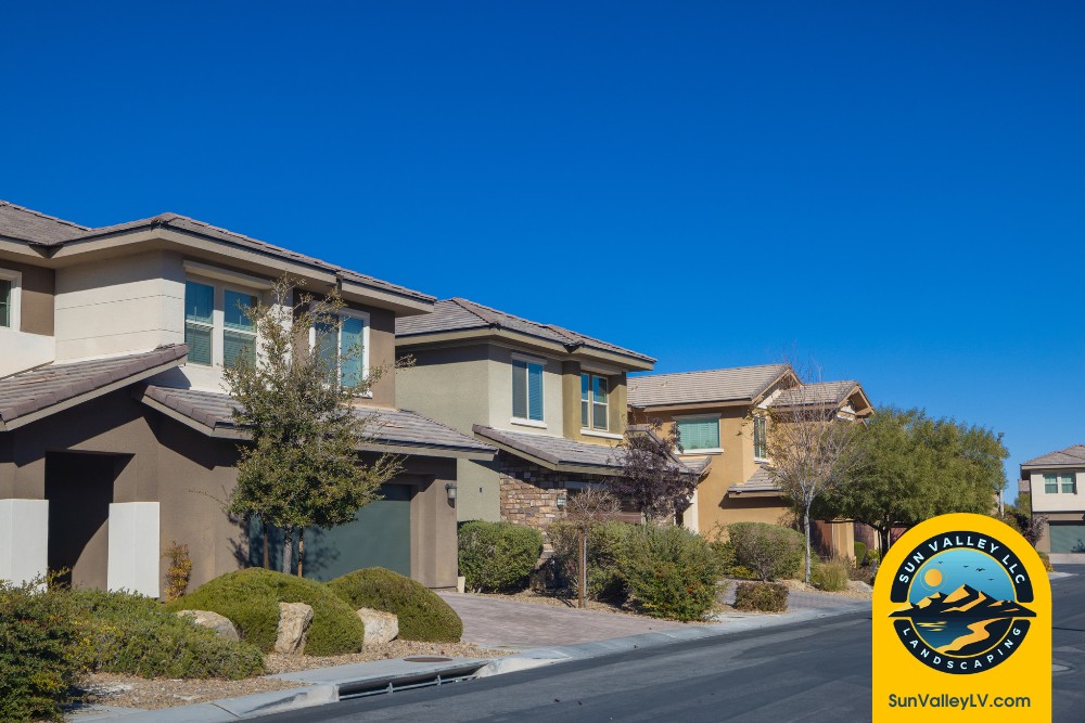 Winter Landscaping Tips for Las Vegas and Henderson-3 Sun Valley Landscaping winter yard care in Las Vegas neighborhood homes, desert landscaping prepared for colder seasonal conditions
