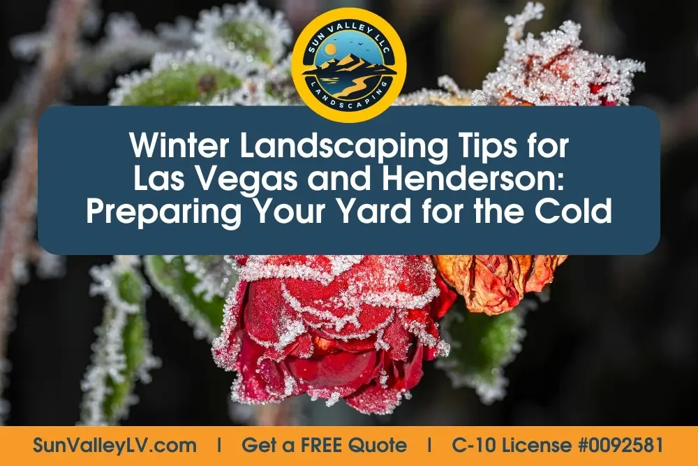 Sun Valley Landscaping winter landscaping tips for Las Vegas and Henderson, protecting plants and yards from cold temperatures