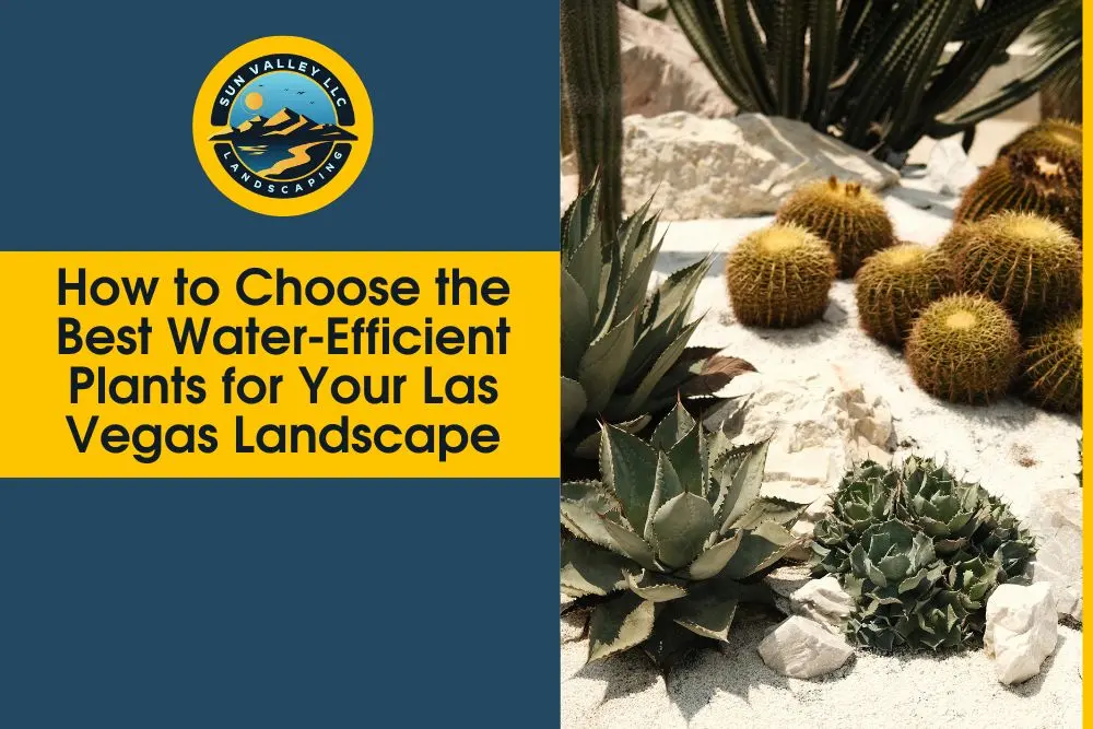 water-efficient plants Las Vegas
