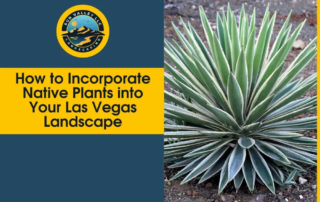 how to incorporate native plants in Las Vegas