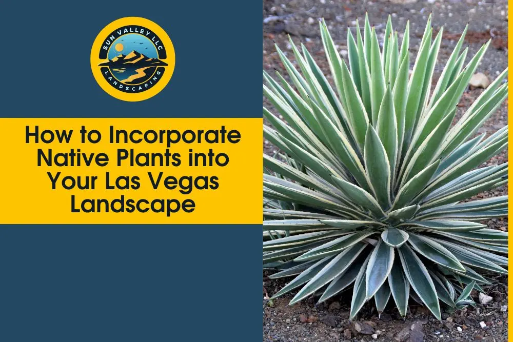 how to incorporate native plants in Las Vegas