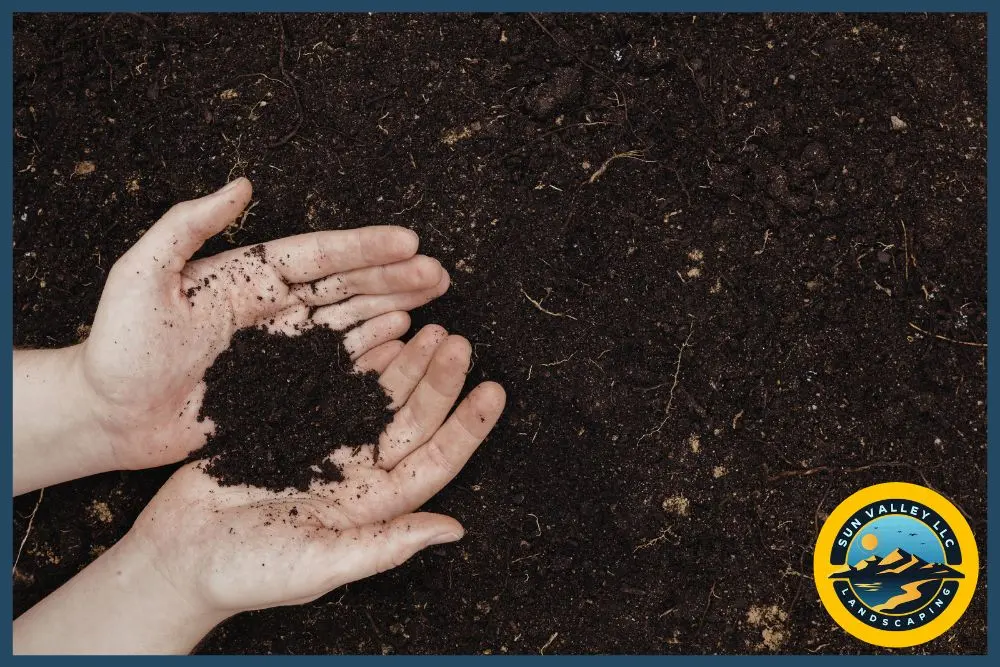 tips for having a garden in Las Vegas