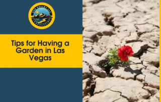 tips for having a garden in Las Vegas