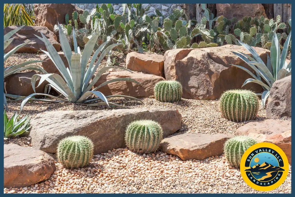 tips for having a garden in Las Vegas
